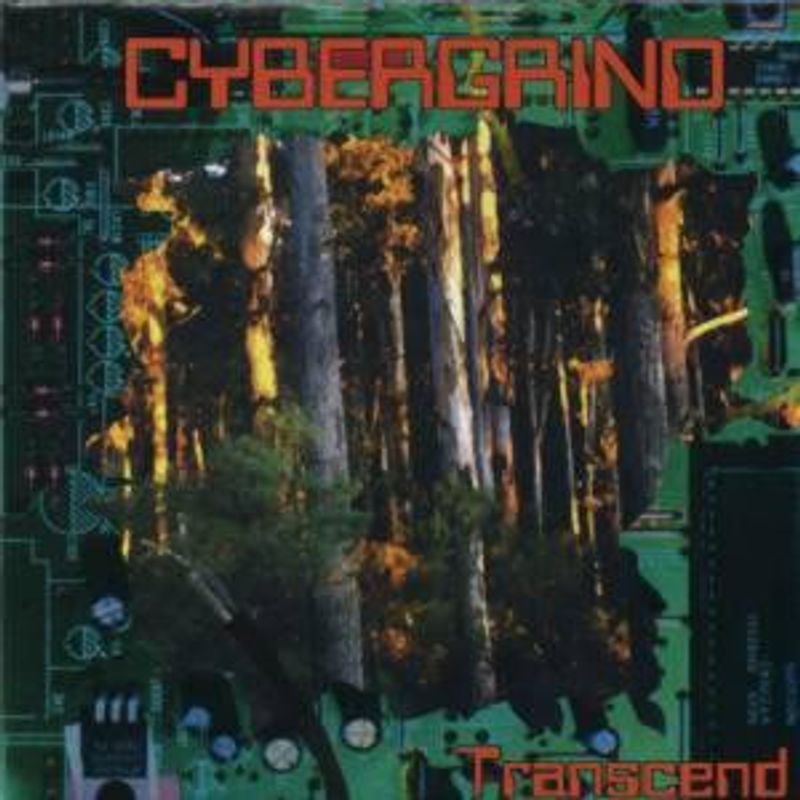 CYBERGRIND: Transcend USED CD